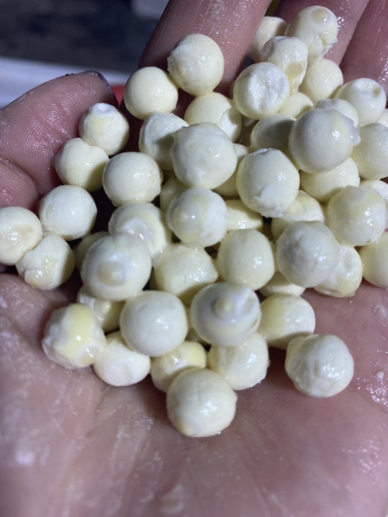 单亲妈妈种植芡实米，15年，有正规营业执照，农产品