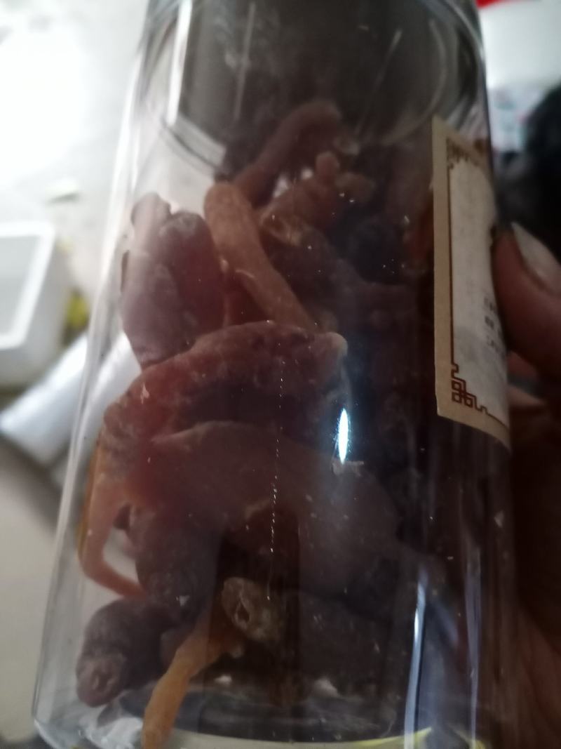 【包邮】小红参今年的新货即使小红参
