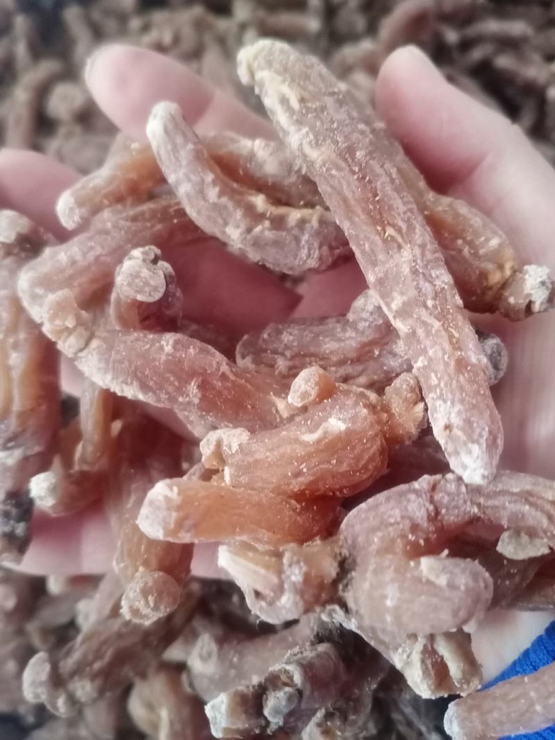 【包邮】小红参今年的新货即使小红参
