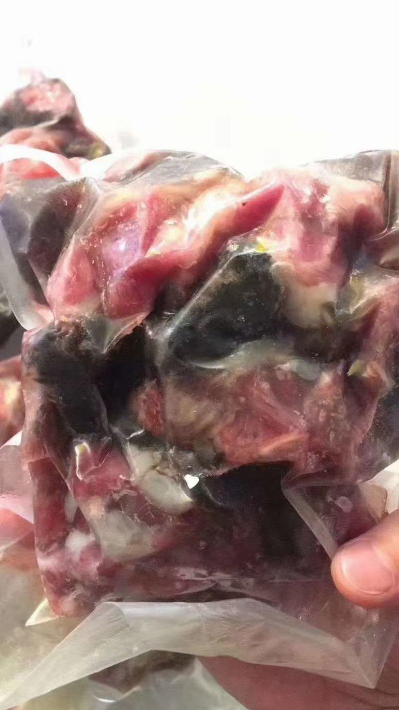 广东广州花都草龟肉供应