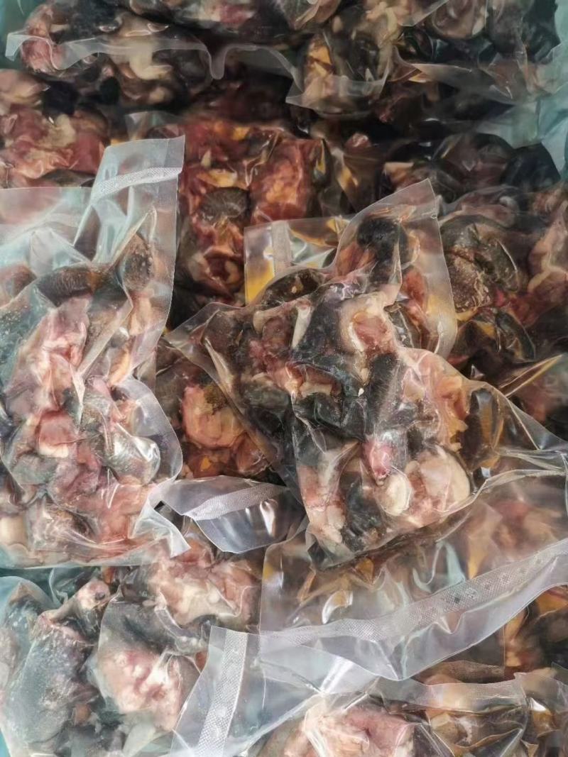 广东广州花都草龟肉供应