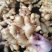 莱芜生姜，新圆头姜，大姜