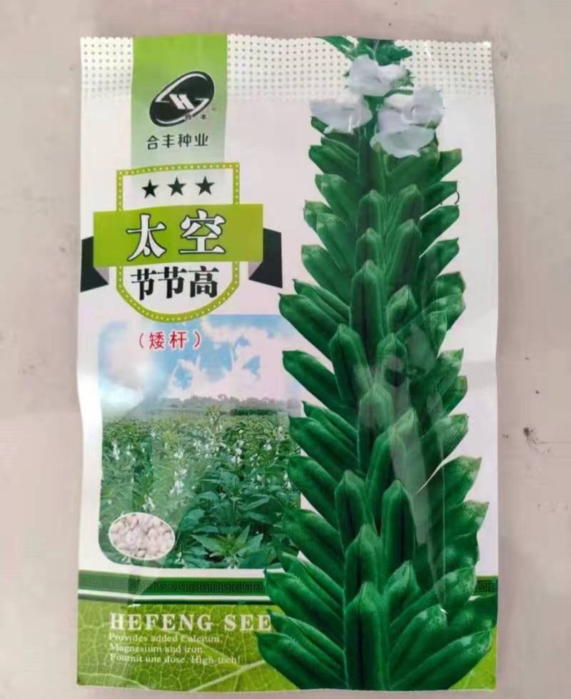 白芝麻种子太空节节高抗病到倒含油量高耐重茬蒴果肥大