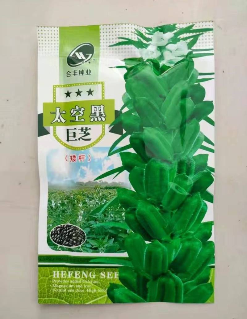 芝麻种子太空黑巨芝单杆型抗病抗倒耐重茬高产耐旱耐渍