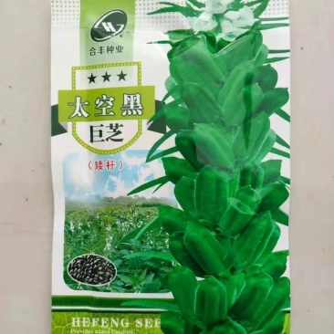芝麻种子太空黑巨芝单杆型抗病抗倒耐重茬高产耐旱耐渍