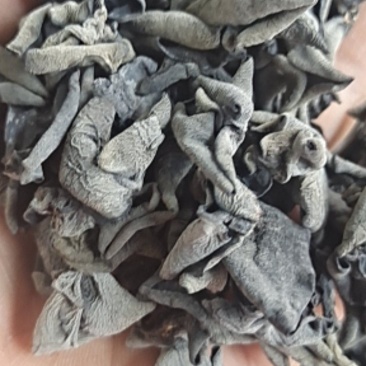 精品东北黑木耳秋木耳产地直供一手货源欢迎选购
