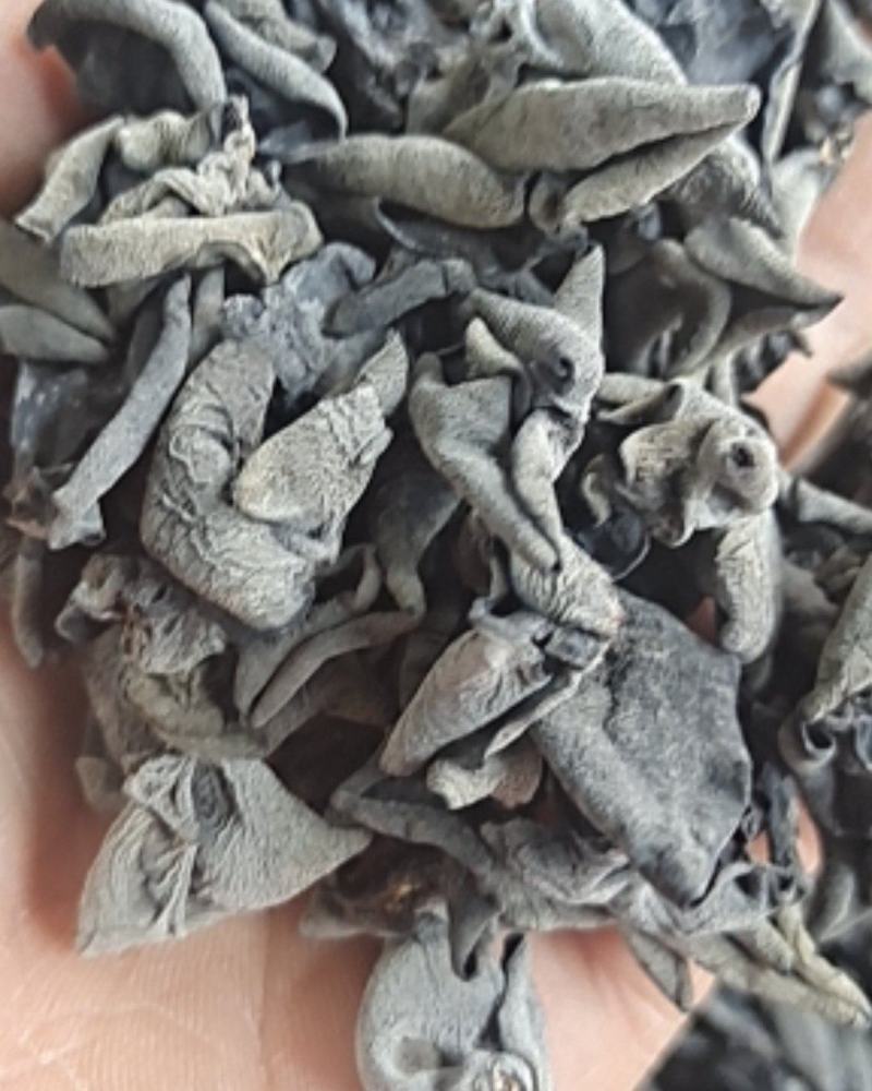 精品东北黑木耳秋木耳产地直供一手货源欢迎选购