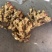山东优质红芽生姜产地一手货源直发直销无药物残留色泽正