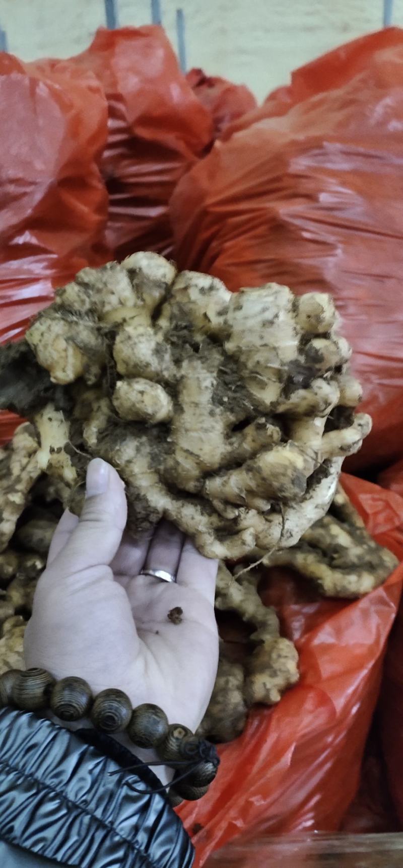 生姜（优质小黄姜）产地直销一手货源物美价廉