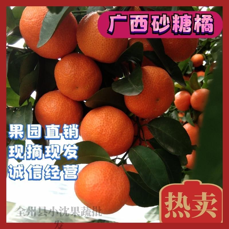 【广西沙糖桔】皮薄起沙甜过初恋35起步现摘现发产地直供
