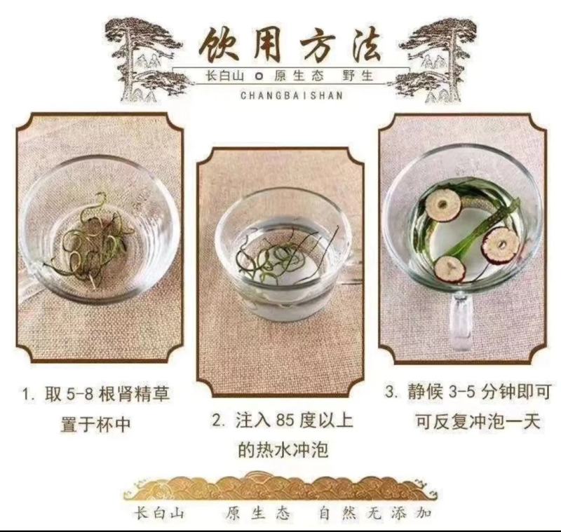 正宗长白山野生肾精茶一瓶50克包邮