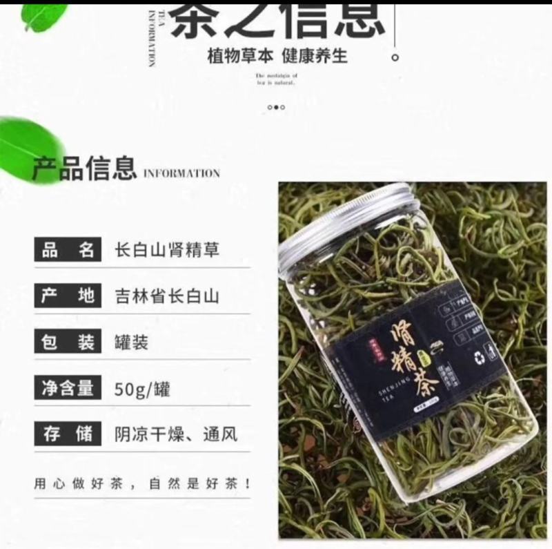 正宗长白山野生肾精茶一瓶50克包邮