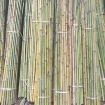 大量供大棚竹竿，菜架竹，果撑，量大