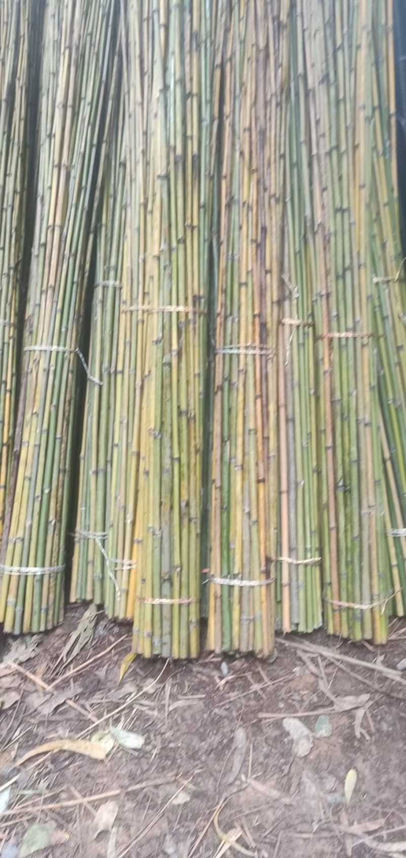 大量供大棚竹竿，菜架竹，果撑，量大优惠
