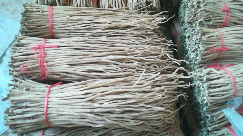 河南焦作道地怀牛膝大量供应