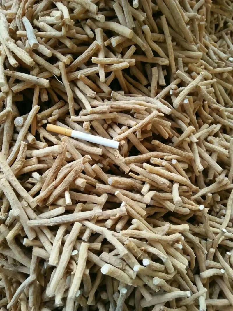 河南焦作道地怀牛膝大量供应