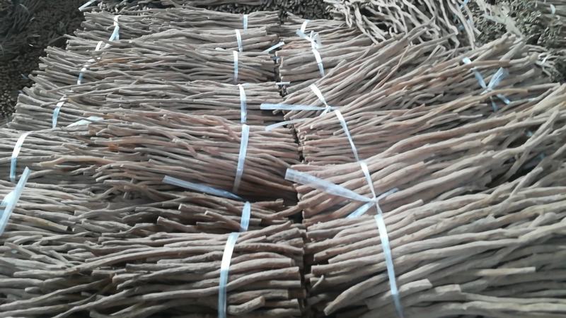 河南焦作道地怀牛膝大量供应