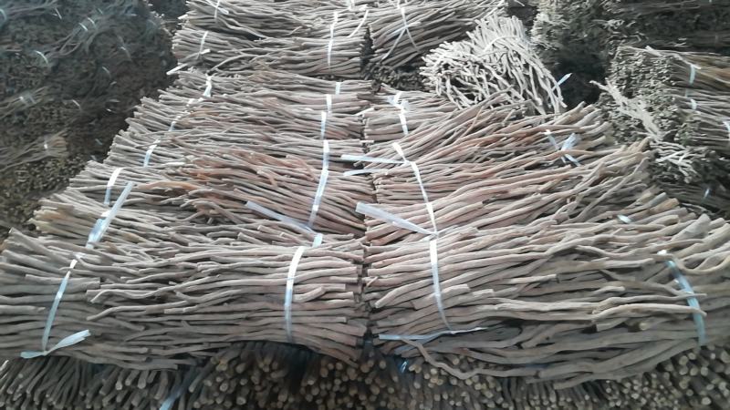 河南焦作道地怀牛膝大量供应