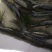 梭鲈鱼来自北方寒冷区的高蛋白鱼类