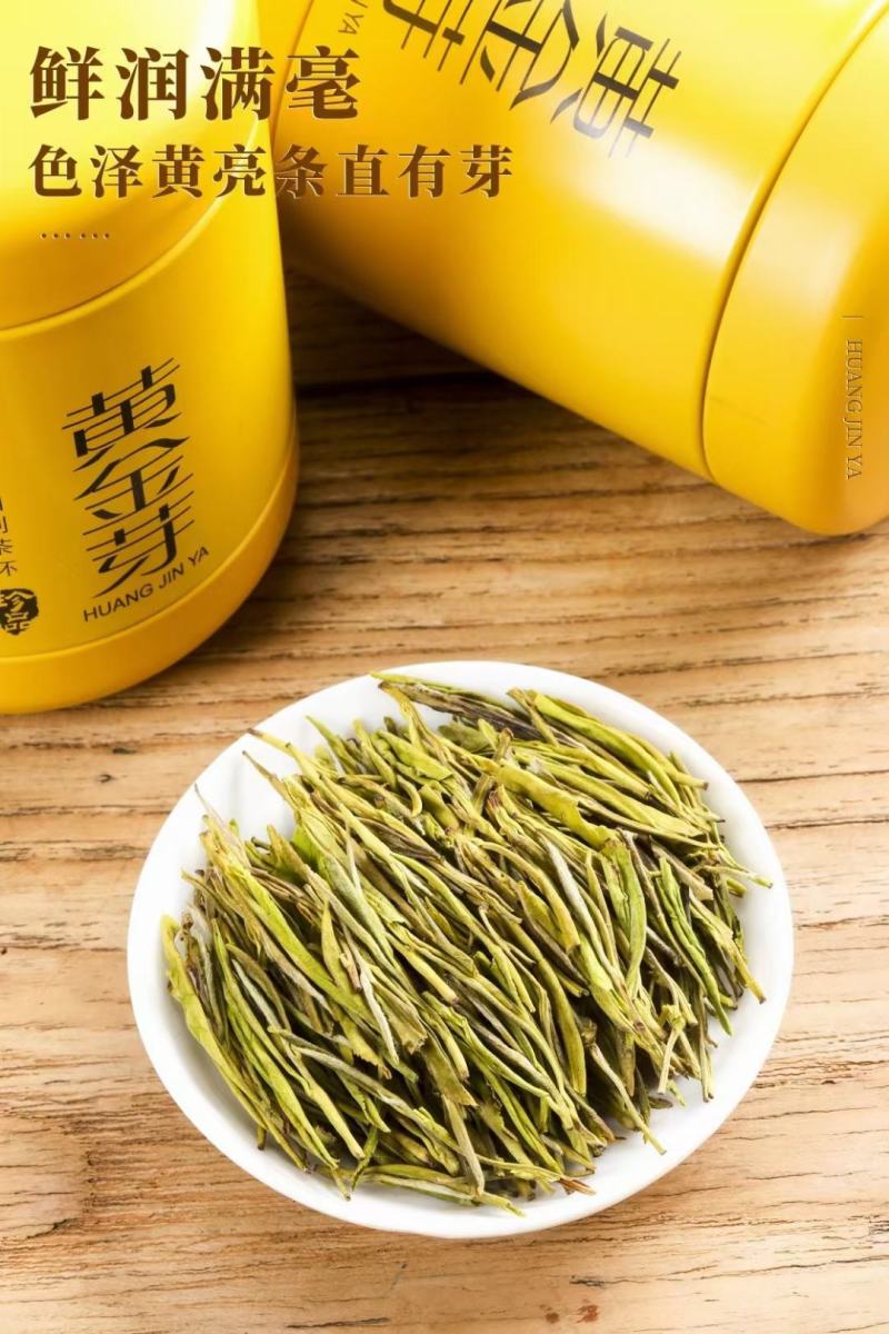 【茶叶礼】物以稀为贵，茶贵如黄金、精心焙制而成的黄金芽