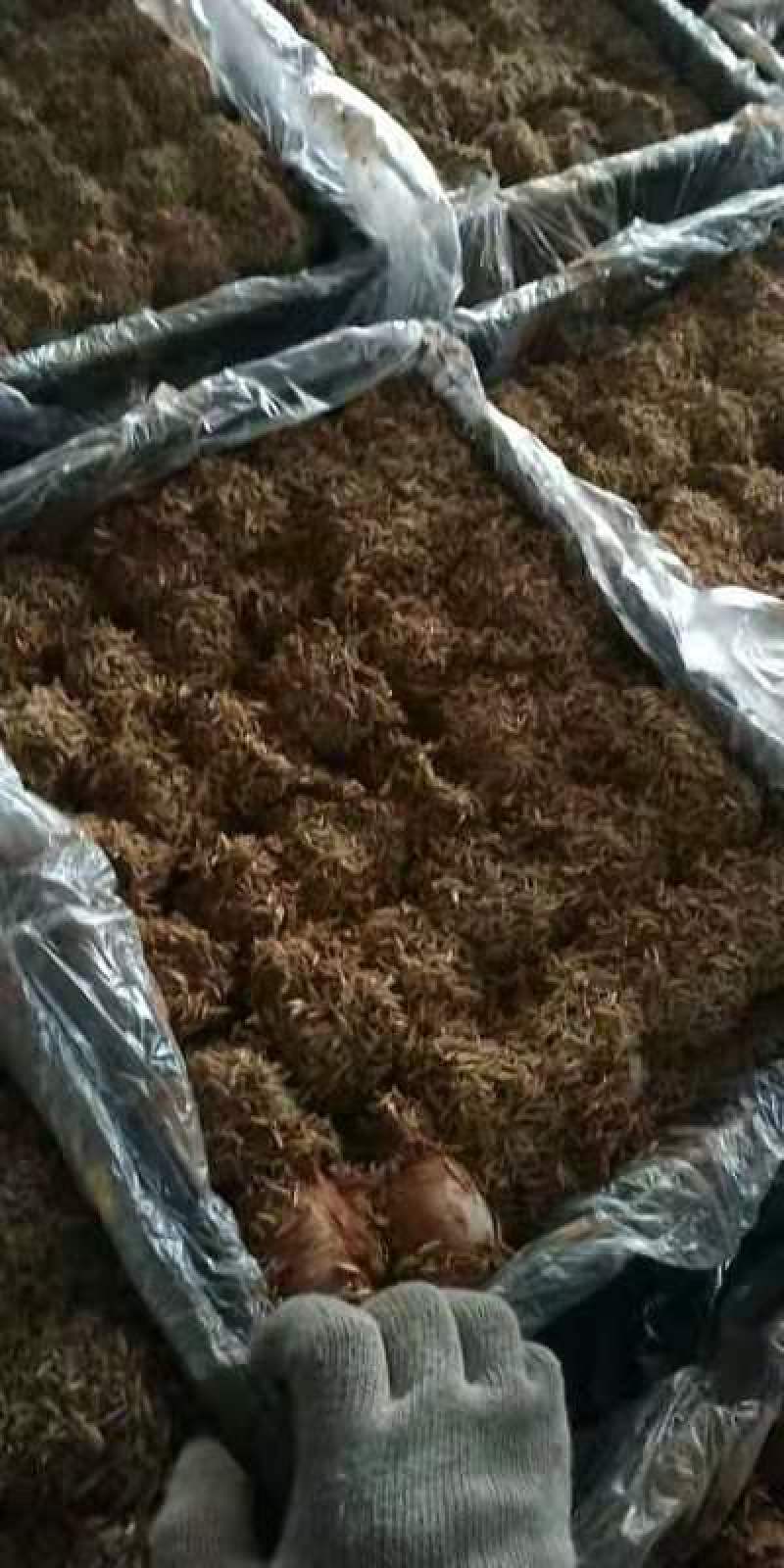 厂家一手货源无铅松花蛋