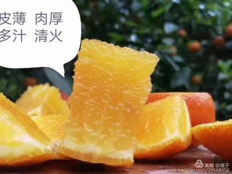 自家种植的密香橙纯甜无酸，不打腊，不洗果，不打甜蜜素。