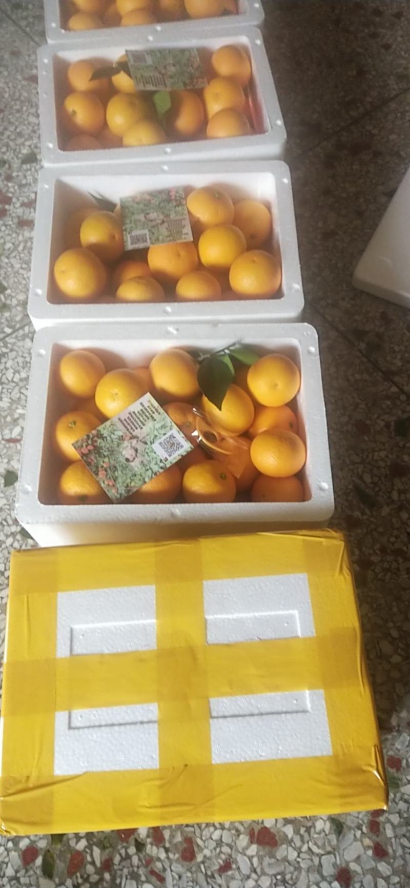 自家种植的密香橙纯甜无酸，不打腊，不洗果，不打甜蜜素。