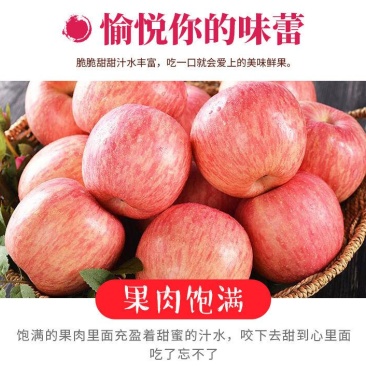 优质苹果货源充足，产地直销，诚信第一，四季供应，