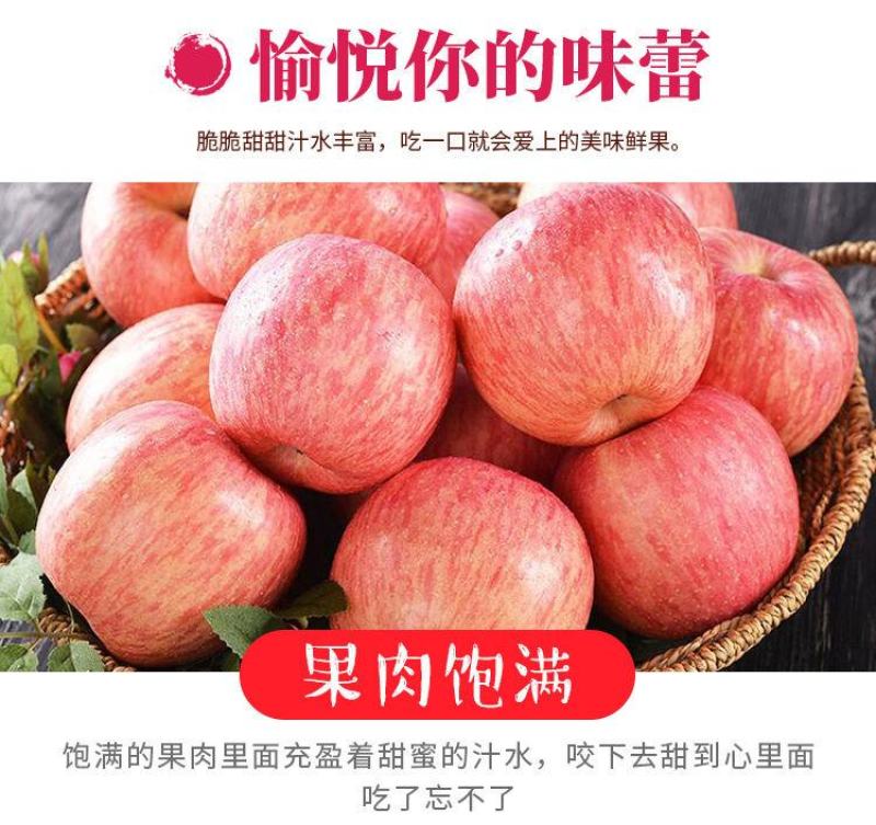 优质苹果货源充足，产地直销，诚信第一，四季供应，