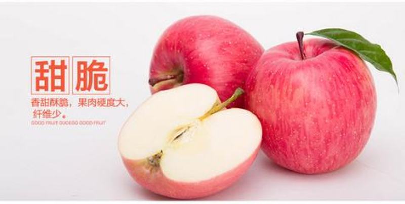 优质苹果货源充足，产地直销，诚信第一，四季供应，