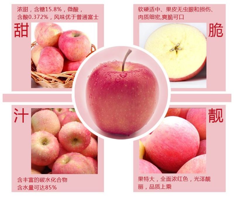 优质苹果货源充足，产地直销，诚信第一，四季供应，