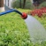 育苗喷头园艺花洒浇花苗圃浇水长杆喷水枪浇菜农用大棚园林洒