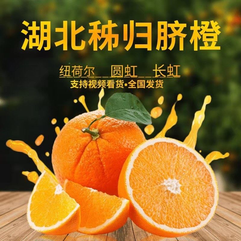 湖北【秭归脐橙】绵橙皮薄细纹多汁产地批发