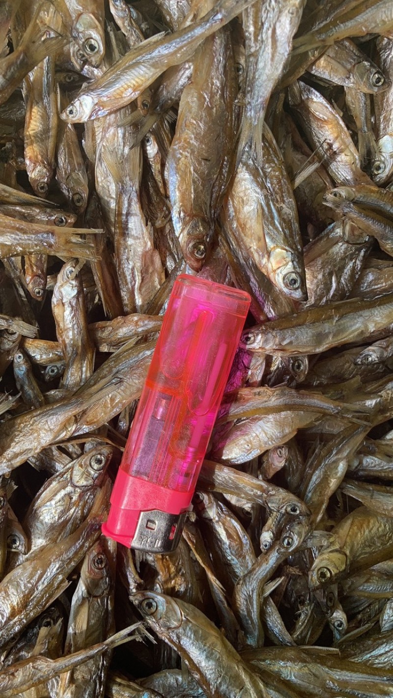 淡水河鱼鱼干不开肚烘干包邮