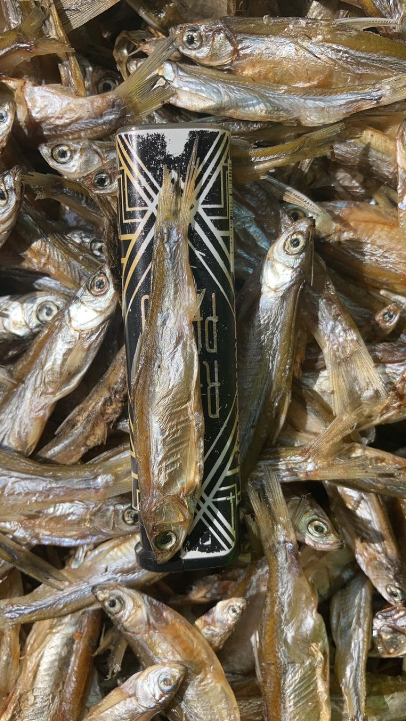 淡水河鱼鱼干不开肚烘干包邮