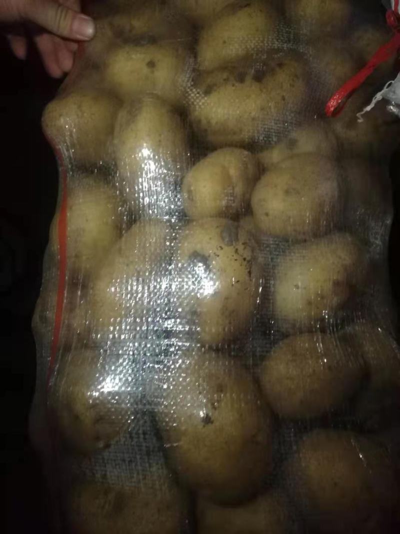 内蒙黄金薯干洗土豆自产自销一手货源