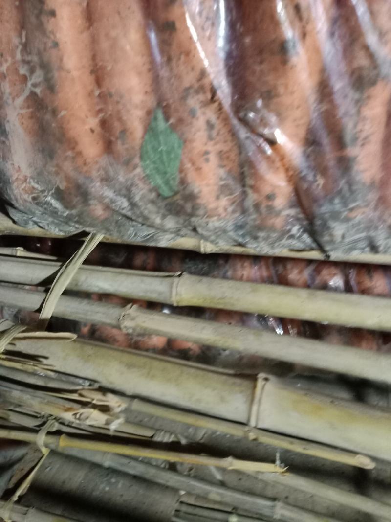 【牛商优选】红萝卜，大量上市中，诚信商家，质量保证