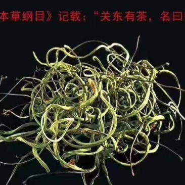 正宗长白山野生肾精茶一瓶50克包邮