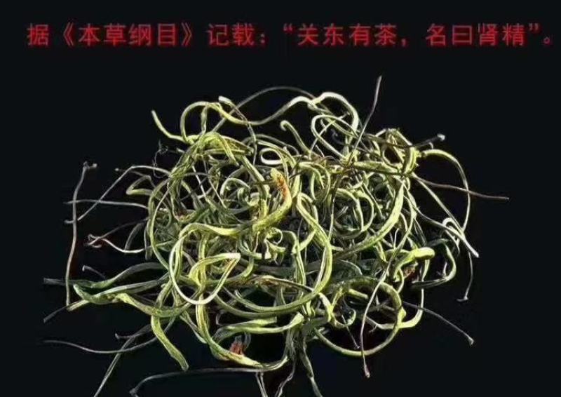 正宗长白山野生肾精茶一瓶50克包邮
