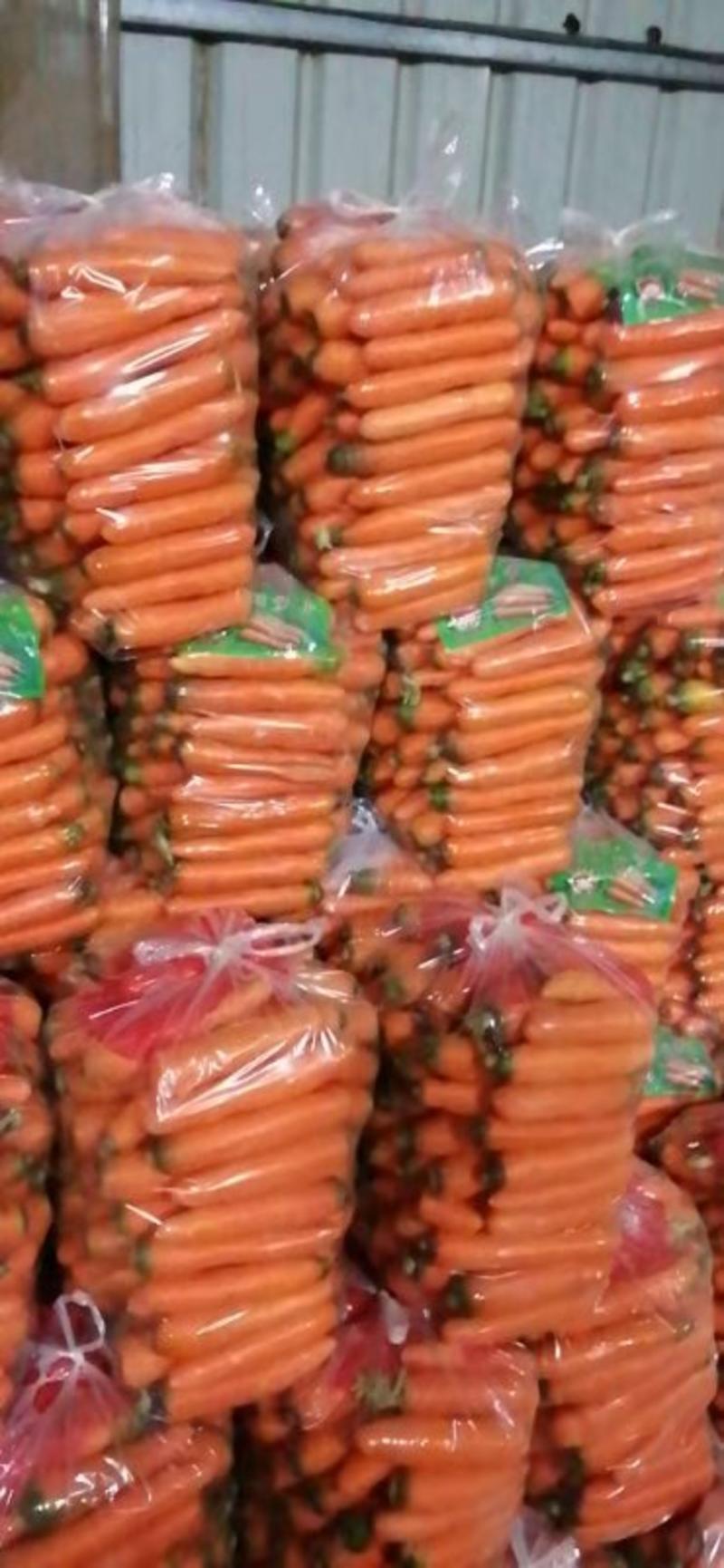 精品三红胡萝卜，保证质量，全国发货，量大从优，价格合理