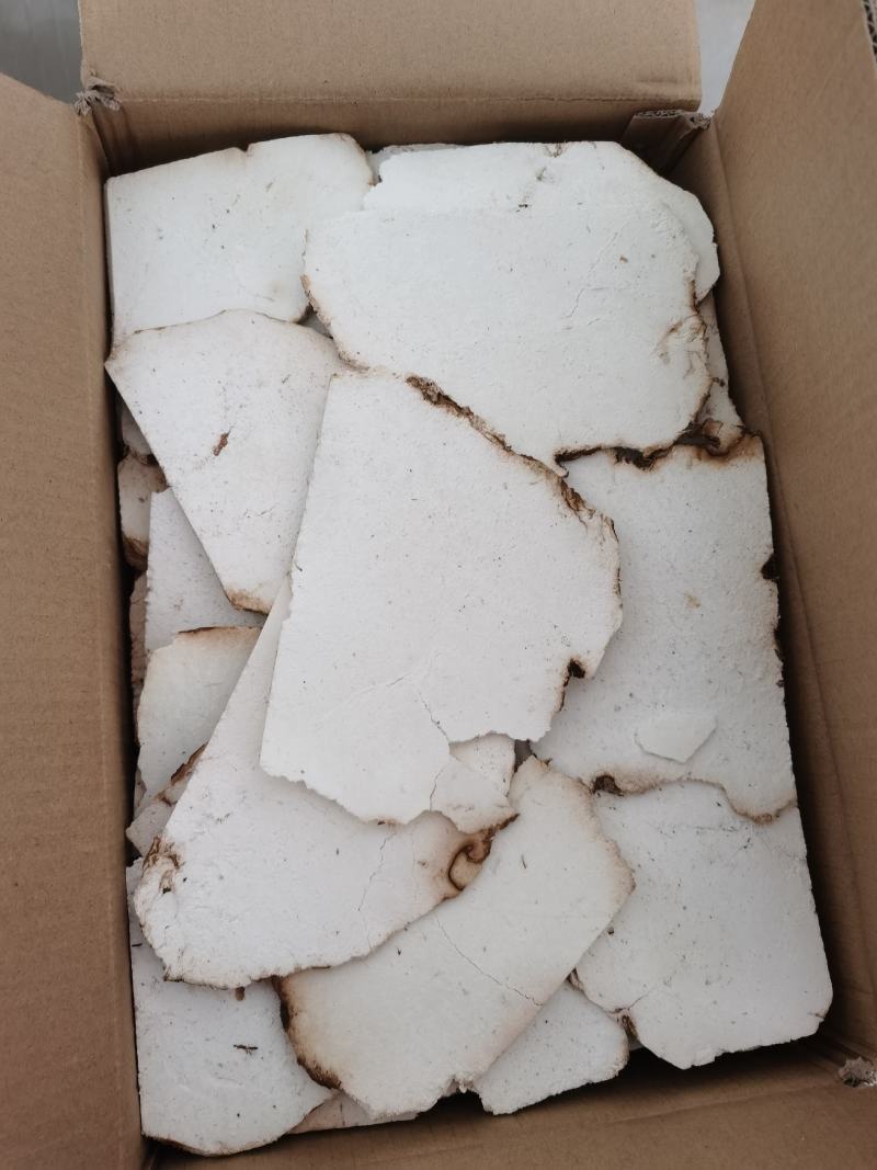振兴药材批发供应茯苓片产地直销价茯苓片