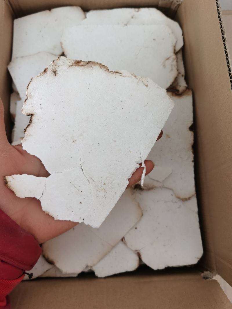 振兴药材批发供应茯苓片产地直销价茯苓片