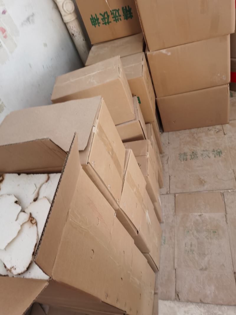 振兴药材批发供应茯苓片产地直销价茯苓片