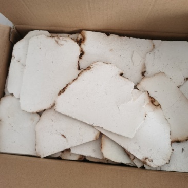 振兴药材批发供应茯苓片产地直销价茯苓片