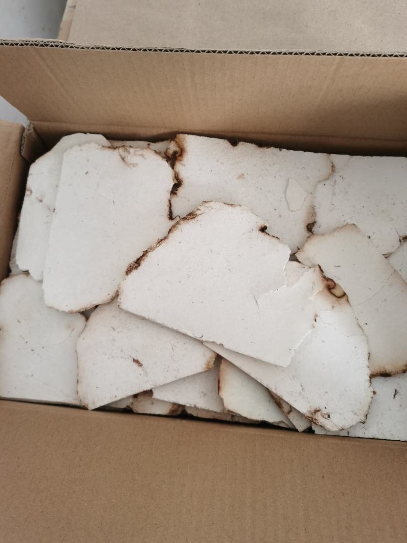 振兴药材批发供应茯苓片产地直销价茯苓片
