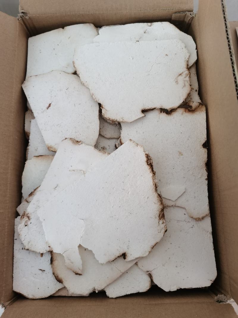 振兴药材批发供应茯苓片产地直销价茯苓片