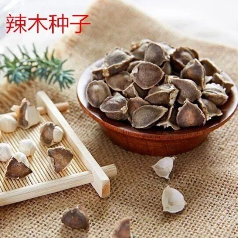 散装印度辣木籽辣木种可食用可种植全新种子出芽率好家庭园艺