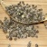 散装印度辣木籽辣木种可食用可种植全新种子出芽率好家庭园艺