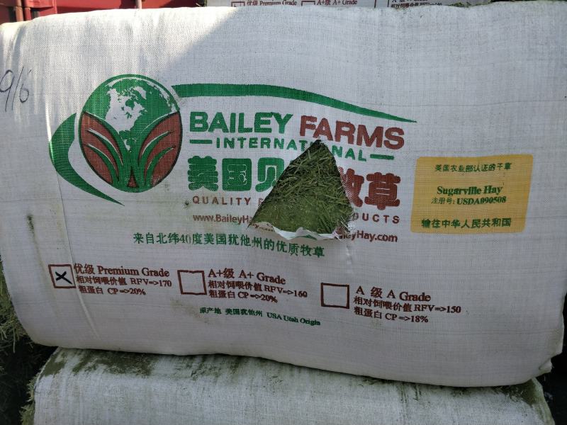 美国贝利一级进口苜蓿港口现货