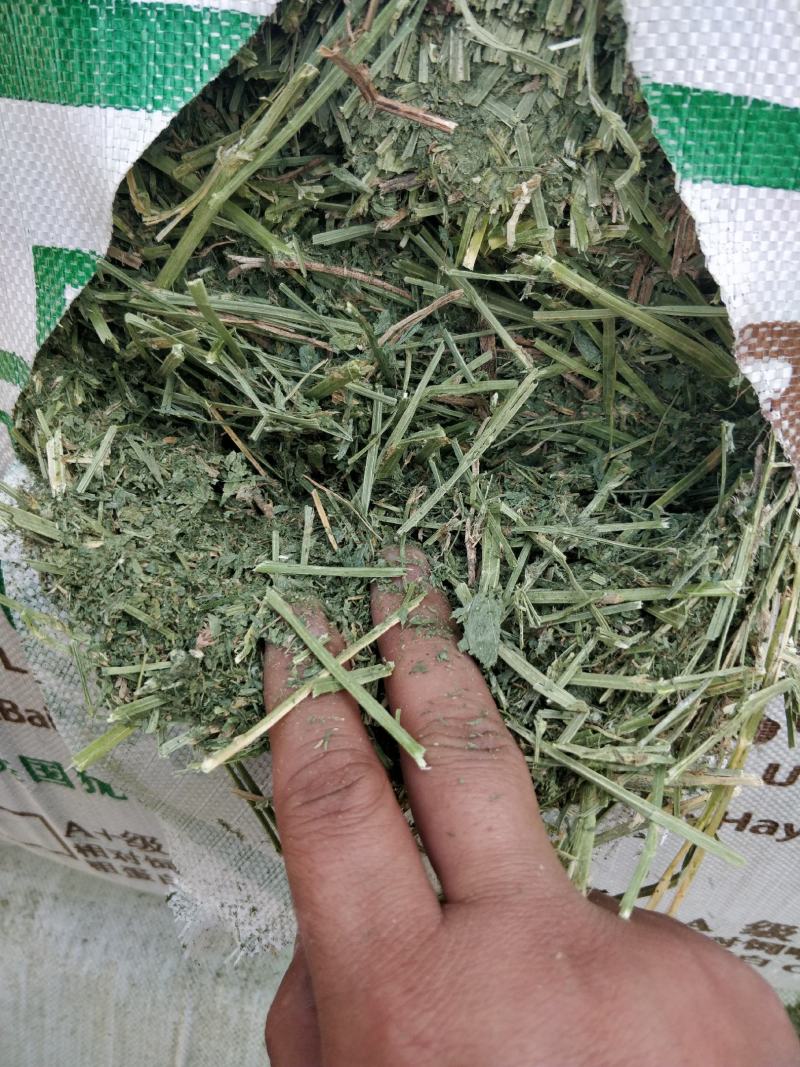 美国贝利一级进口苜蓿港口现货
